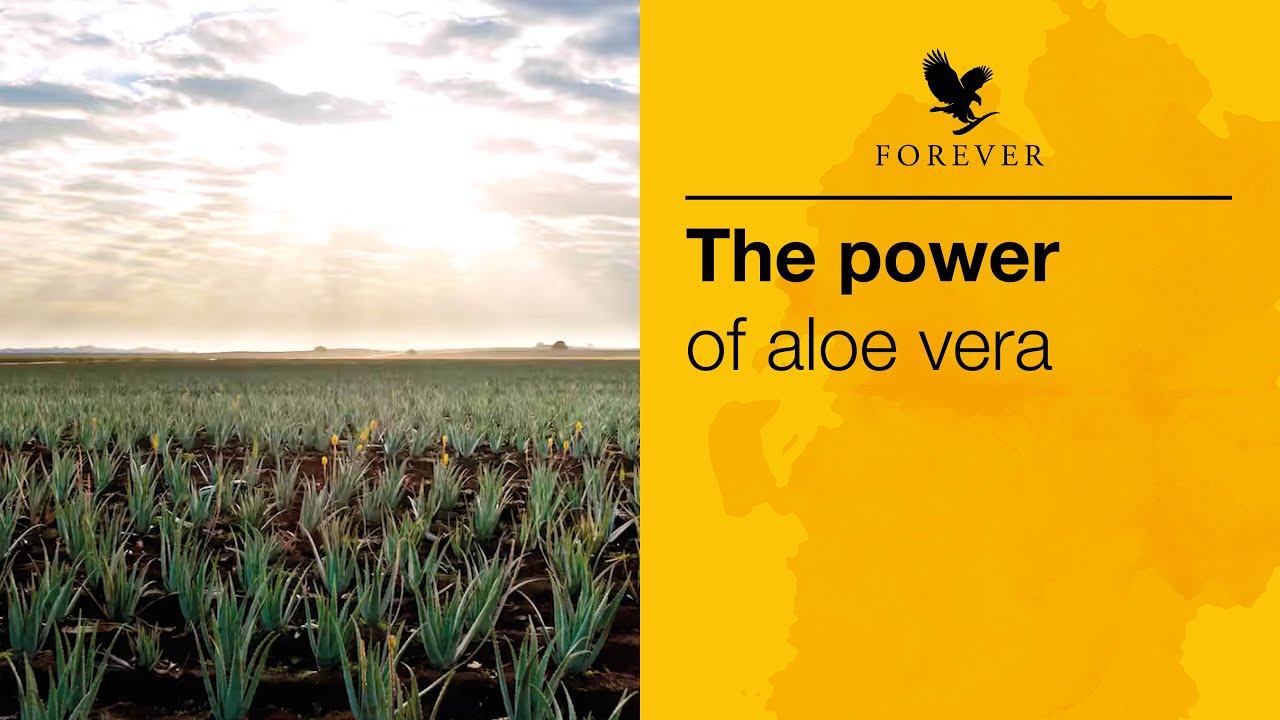 Veracetics, from the renewal of quality seals to the launch of innovative products from Aloe vera